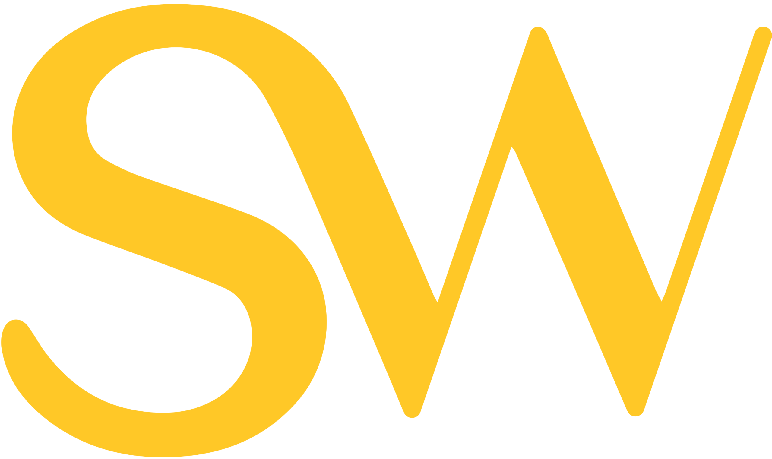 SHULEWISE LOGO